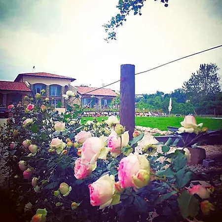 Orchidea Del Garda 3* Πεσκιέρα ντελ Γκάρντα