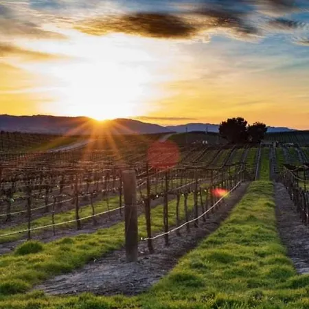 Orchidea Del Garda 3* Peschiera del Garda